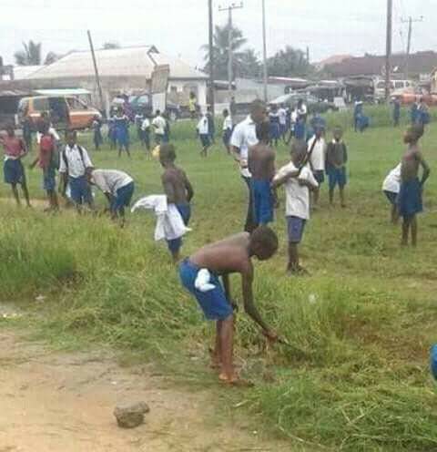 Children cutting Grass in school