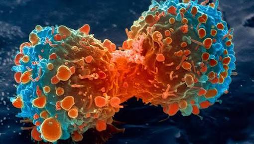 Prevent cancer