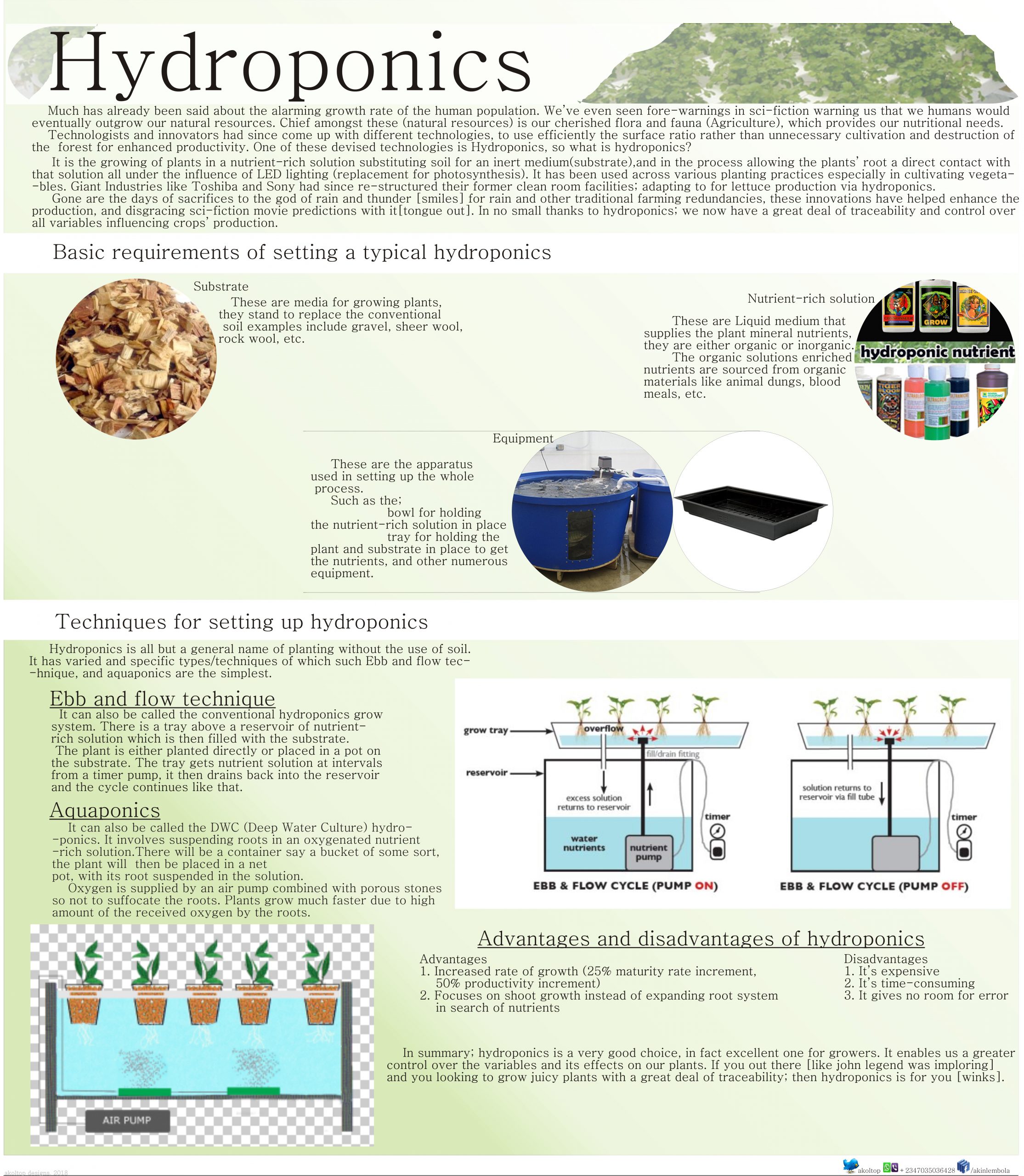 hydroponics infographics