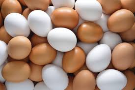 Egg production farming in nigeria